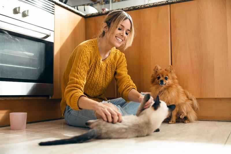 Frau streichelt Hund in Wohnung